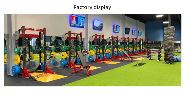 pp dumbbell bulk buy pp dumbbell bulk buy